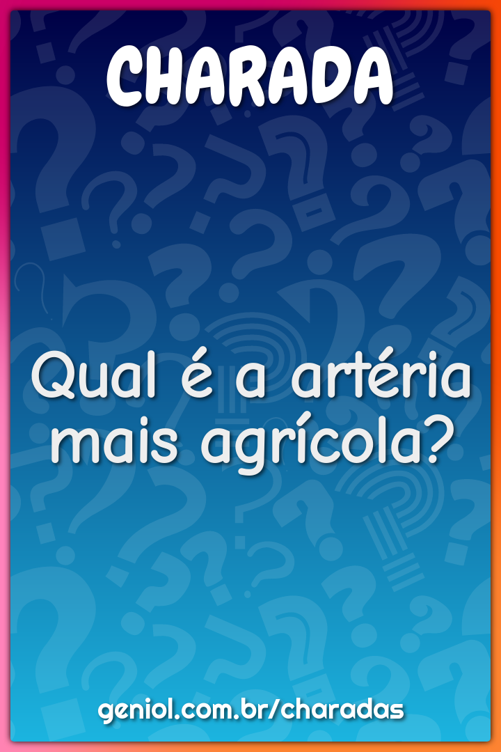 Qual é a artéria mais agrícola?
