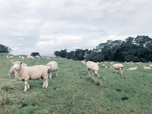 Quebra-Cabeça - 24/04 - 12h