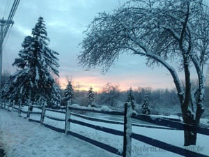 Neve no Campo - Quebra-Cabeça - Geniol