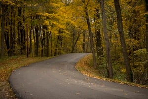 Estrada no Outono