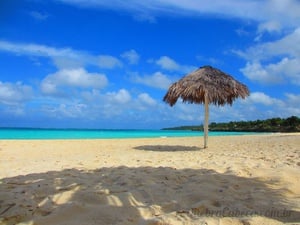 Trem na Praia - Quebra-Cabeça - Geniol