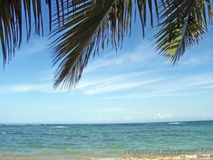 Praia da República Dominicana