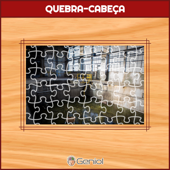 Quebra-Cabeças de Aves - Geniol