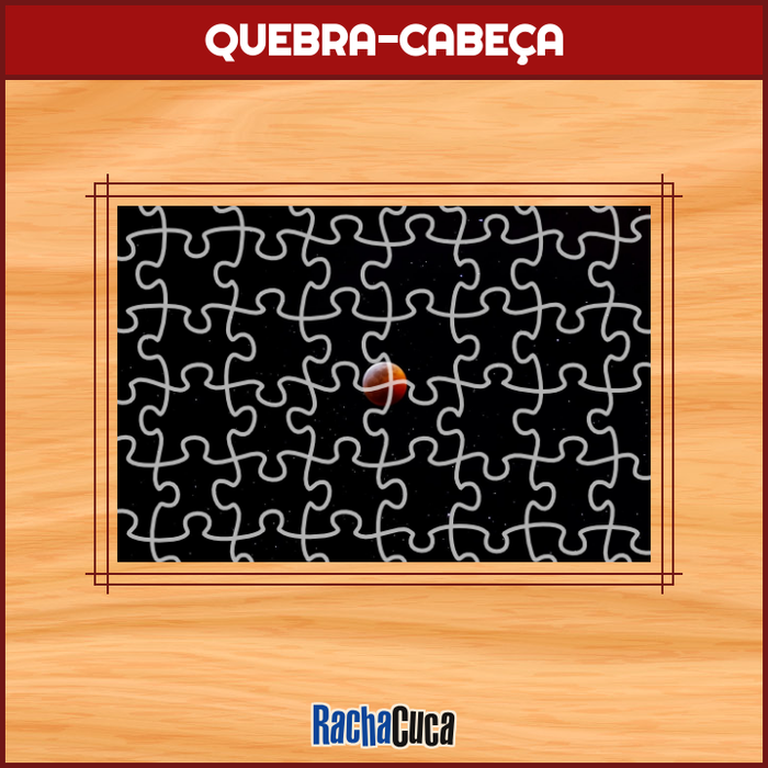 Quebra-Cabeças de Flores - Geniol