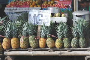 Alce no Rio - Quebra-Cabeça - Geniol