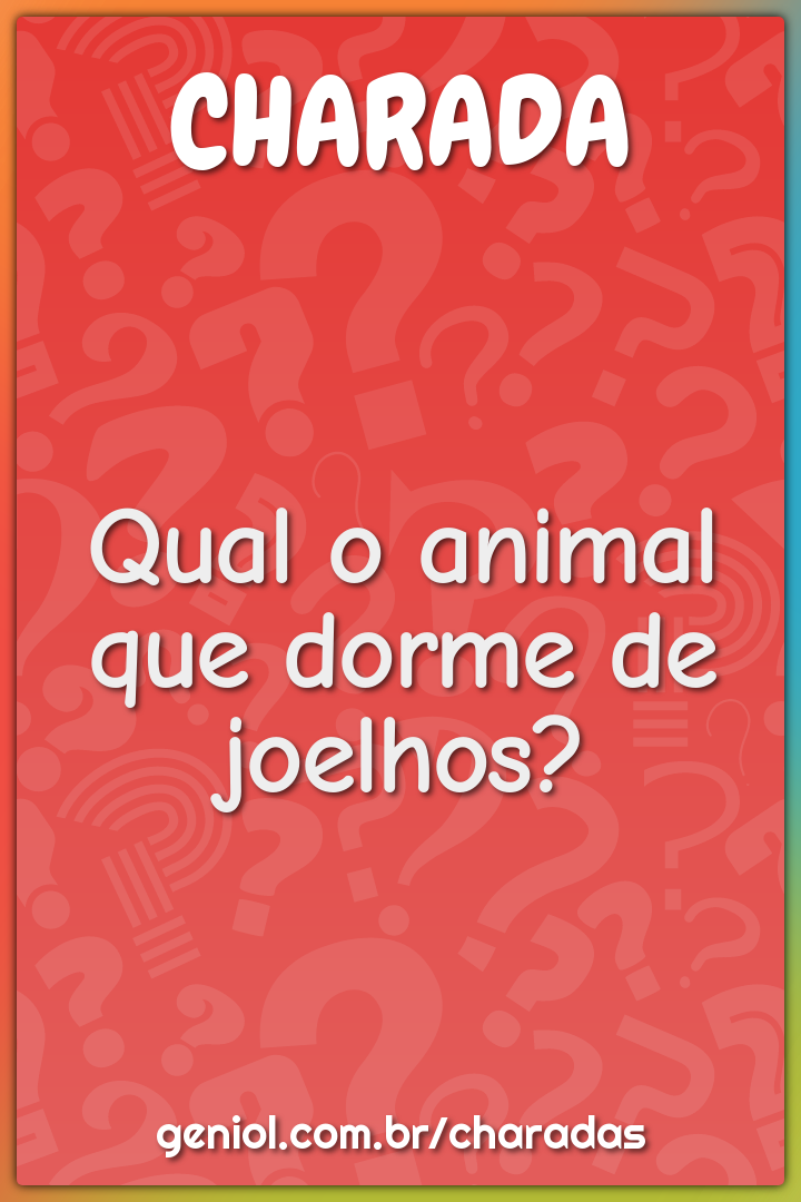 Qual o animal que dorme de joelhos? - Charada e Resposta - Geniol