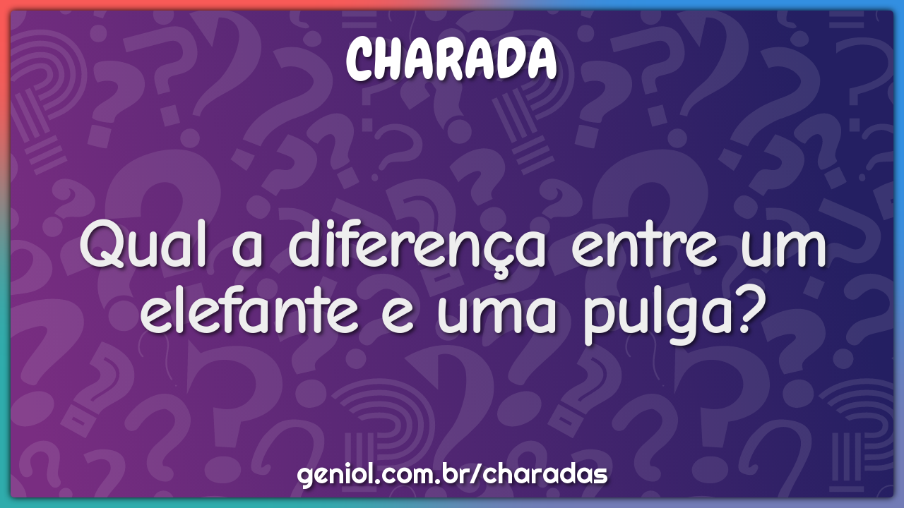 Qual a diferença entre um elefante e uma pulga?