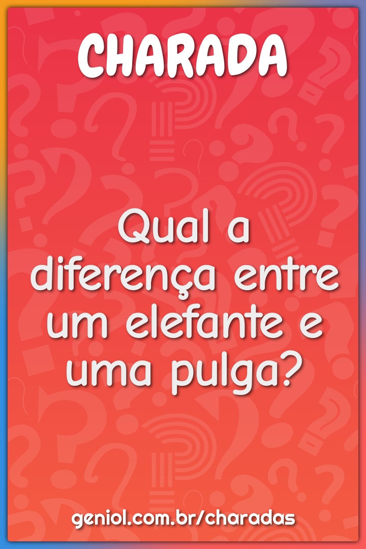 Qual a diferença entre um elefante e uma pulga?