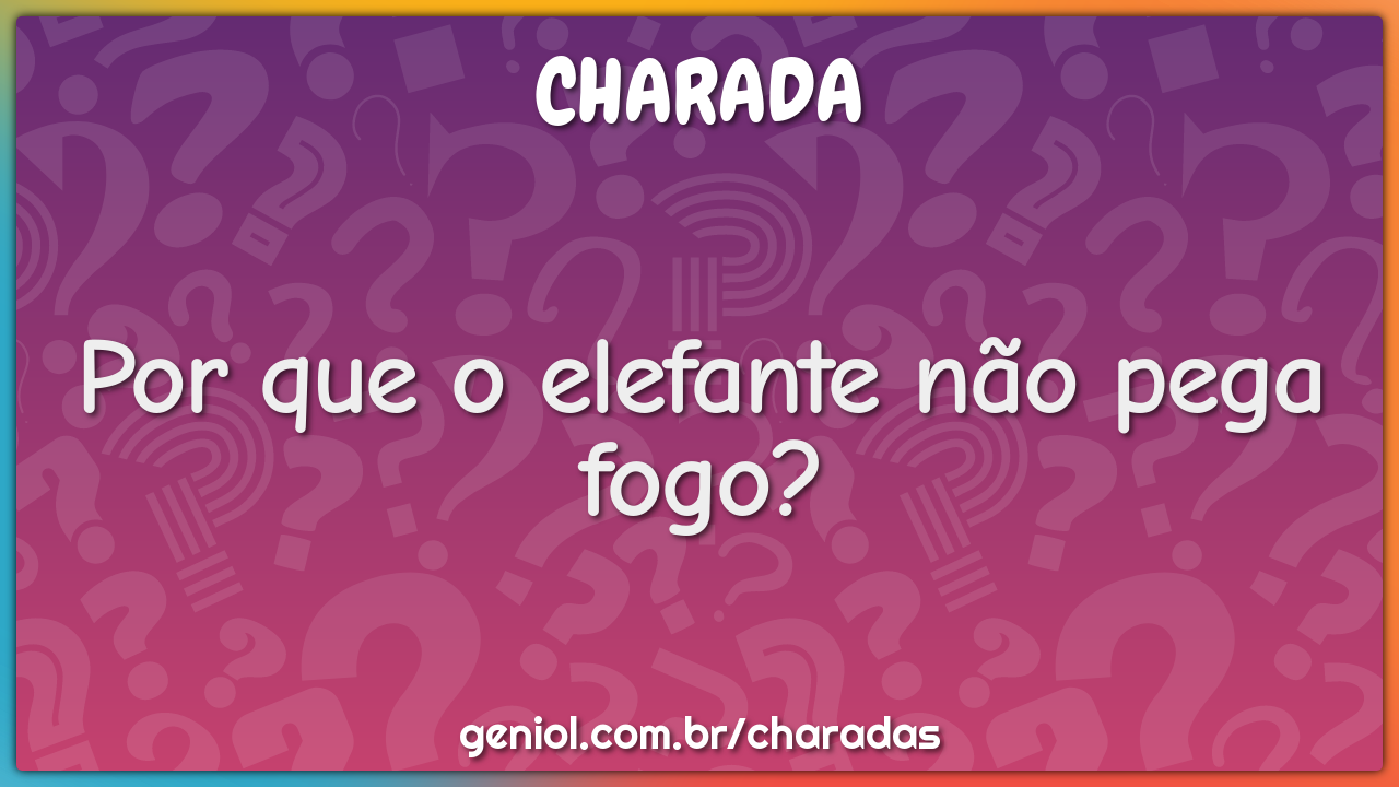 Por que o elefante não pega fogo?