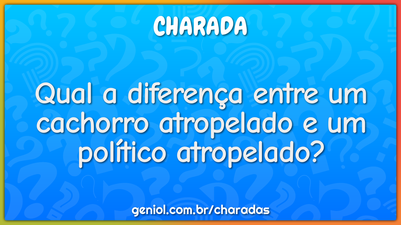 Qual a diferença entre um cachorro atropelado e um político...