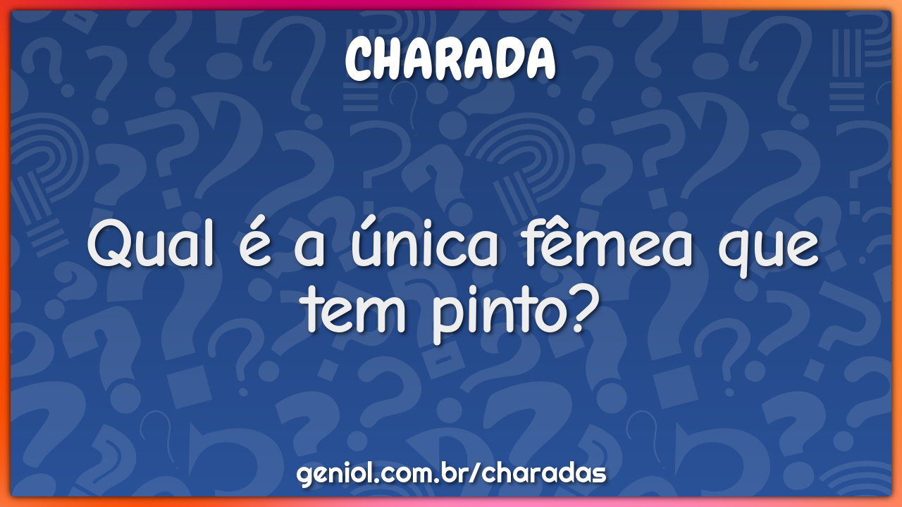 Qual é a única fêmea que tem pinto?