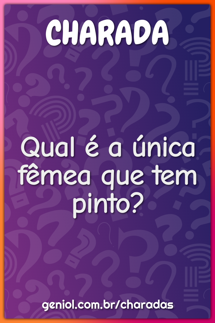 Qual é a única fêmea que tem pinto?