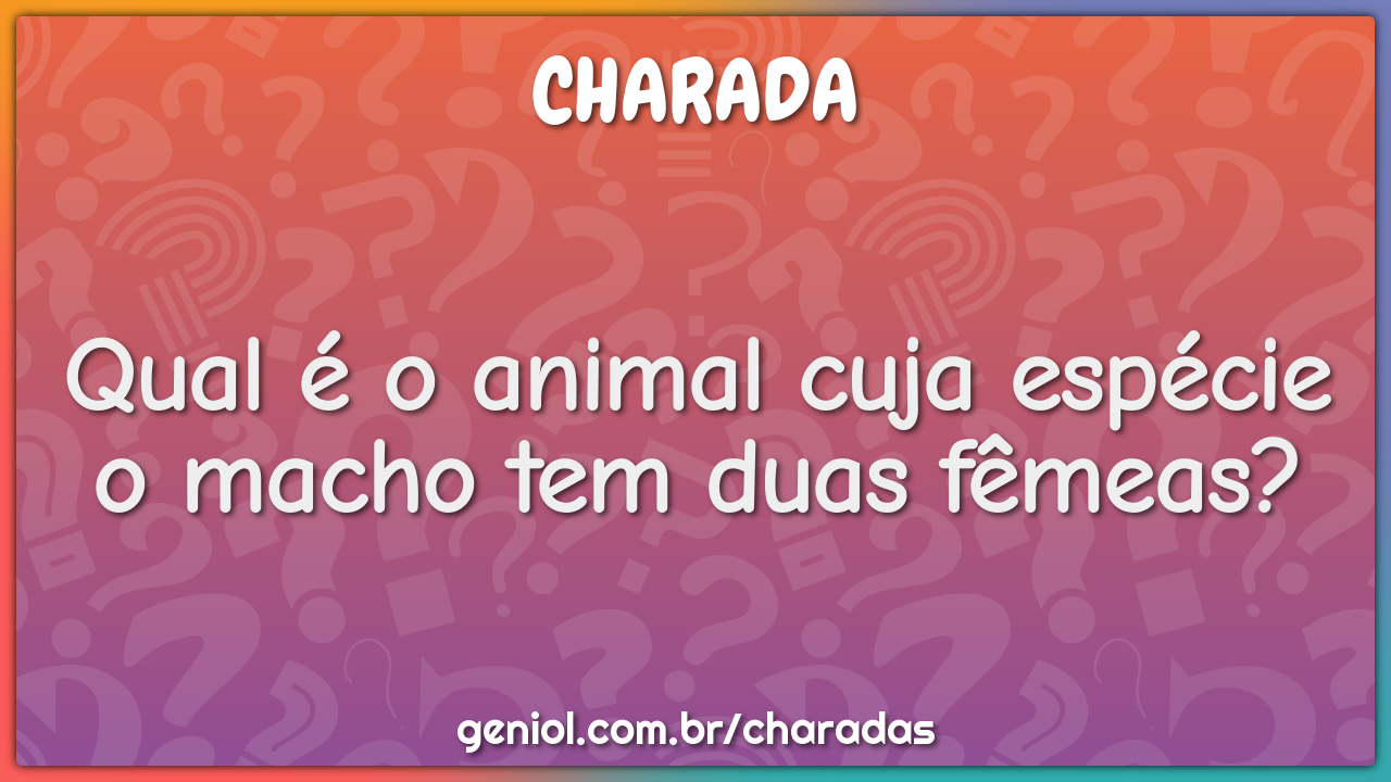Qual é o animal cuja espécie o macho tem duas fêmeas?