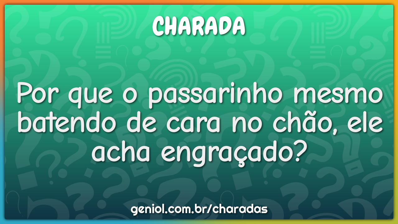 Por que o passarinho mesmo batendo de cara no chão, ele acha...