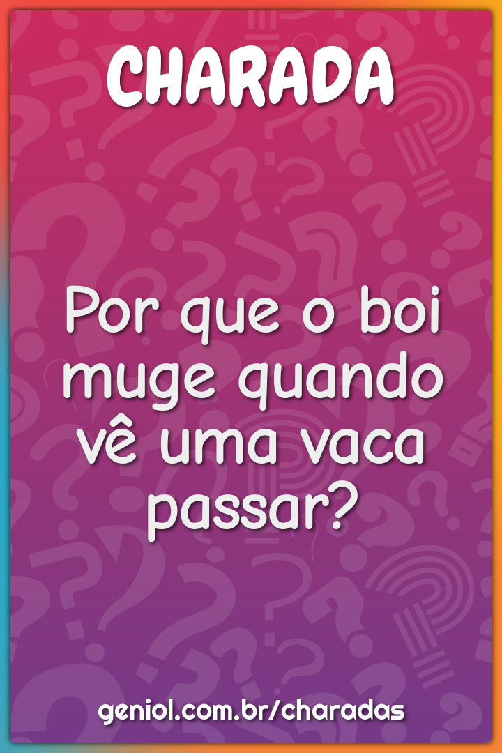 Por que o boi muge quando vê uma vaca passar?