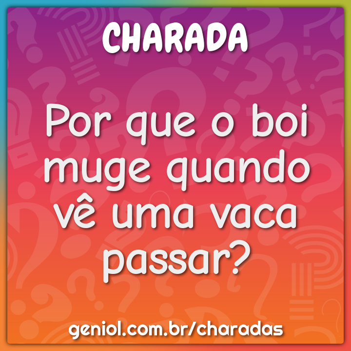 Como se faz para comer um boi todo? - Charada e Resposta - Geniol