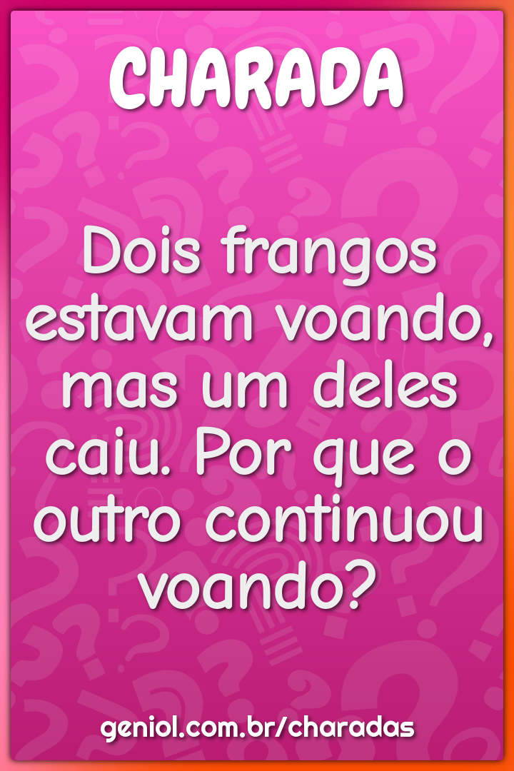 Dois frangos estavam voando, mas um deles caiu. Por que o outro...