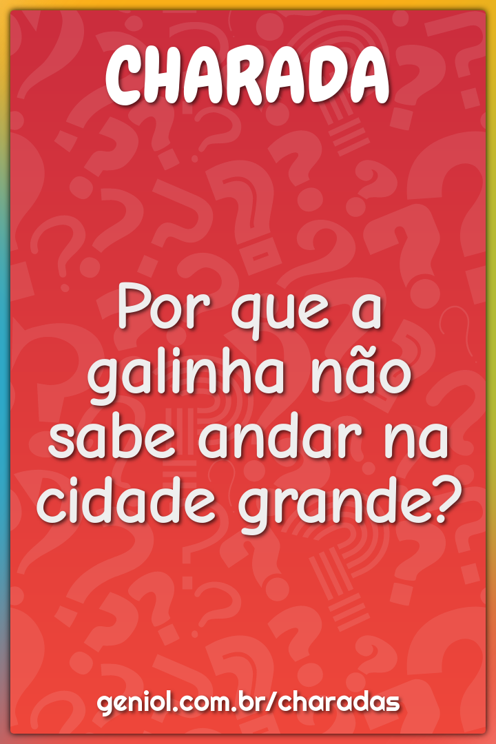 Por que a galinha não sabe andar na cidade grande?