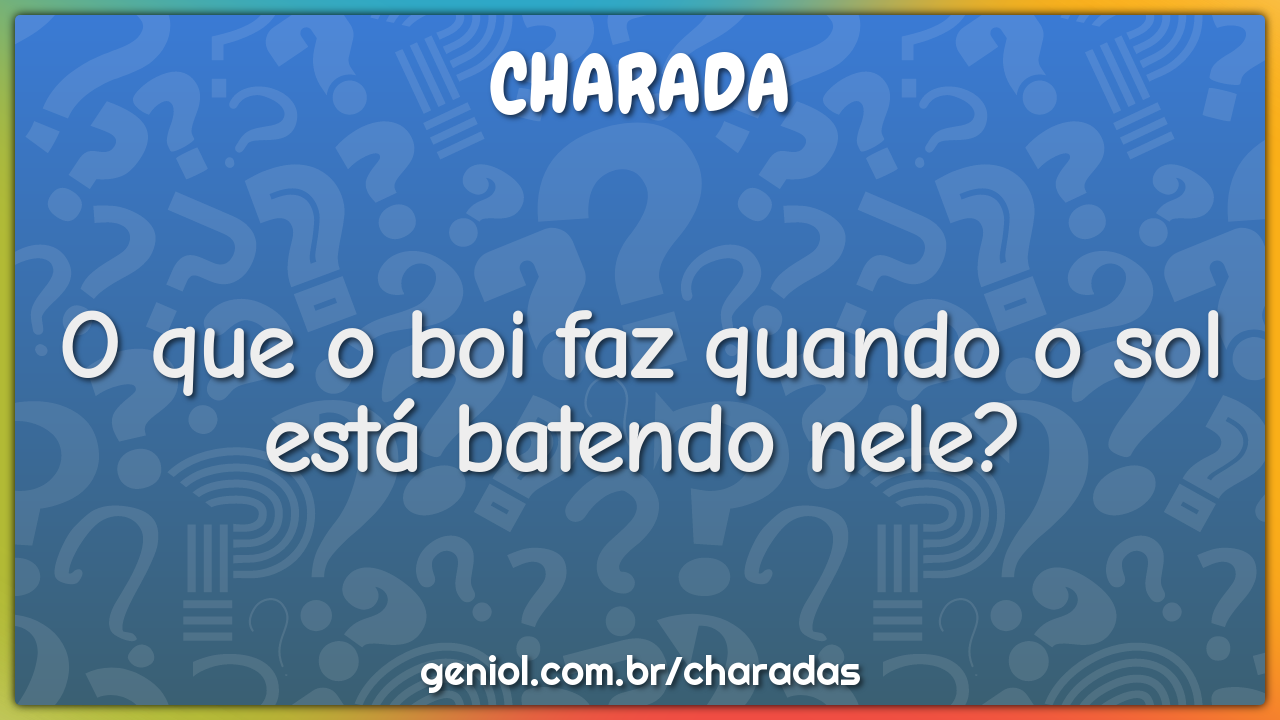 O que o boi faz quando o sol está batendo nele?