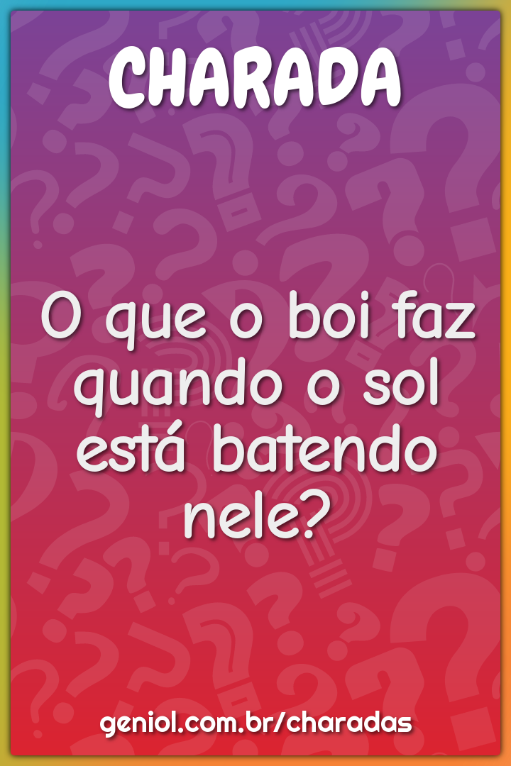 O que o boi faz quando o sol está batendo nele?