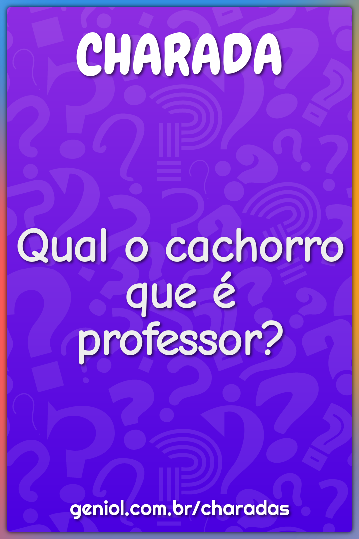 Qual o cachorro que é professor?