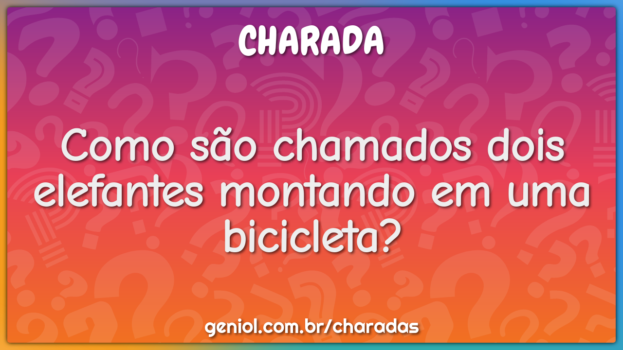 Como são chamados dois elefantes montando em uma bicicleta?