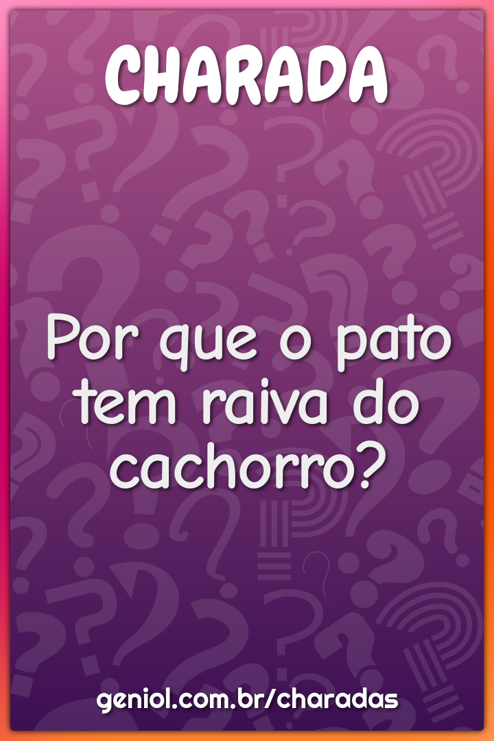 Por que o pato tem raiva do cachorro? - Charada e Resposta - Geniol