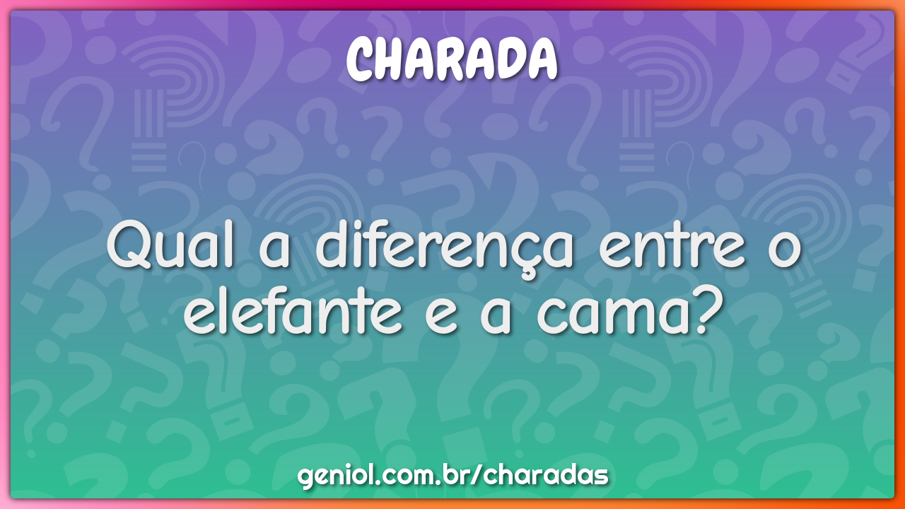 Qual a diferença entre o elefante e a cama?