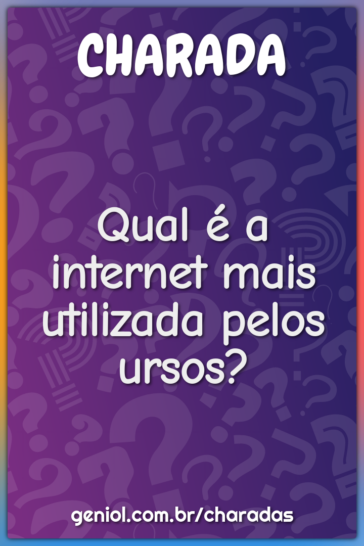 Qual é a internet mais utilizada pelos ursos?