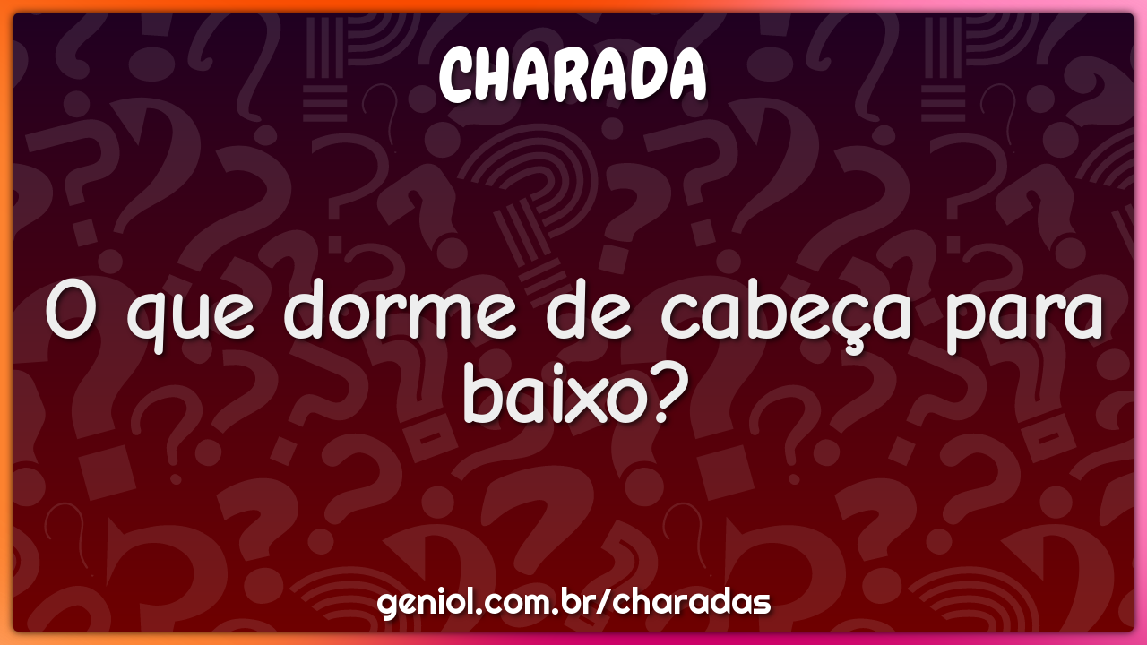 O que dorme de cabeça para baixo?