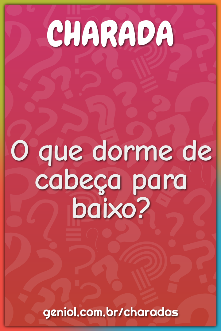 O que dorme de cabeça para baixo?