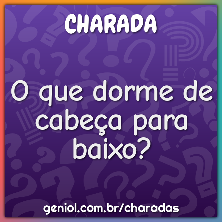 O que dorme de cabeça para baixo?