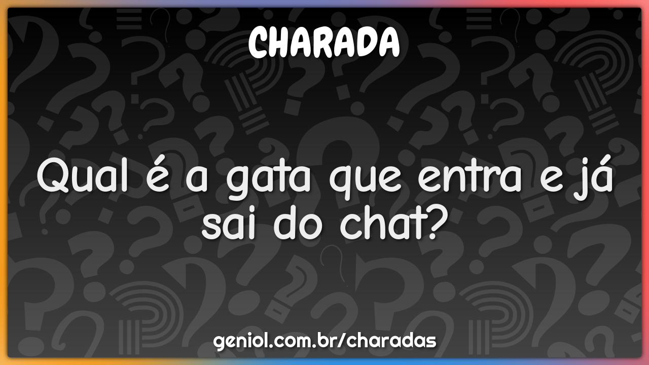 Qual é a gata que entra e já sai do chat?