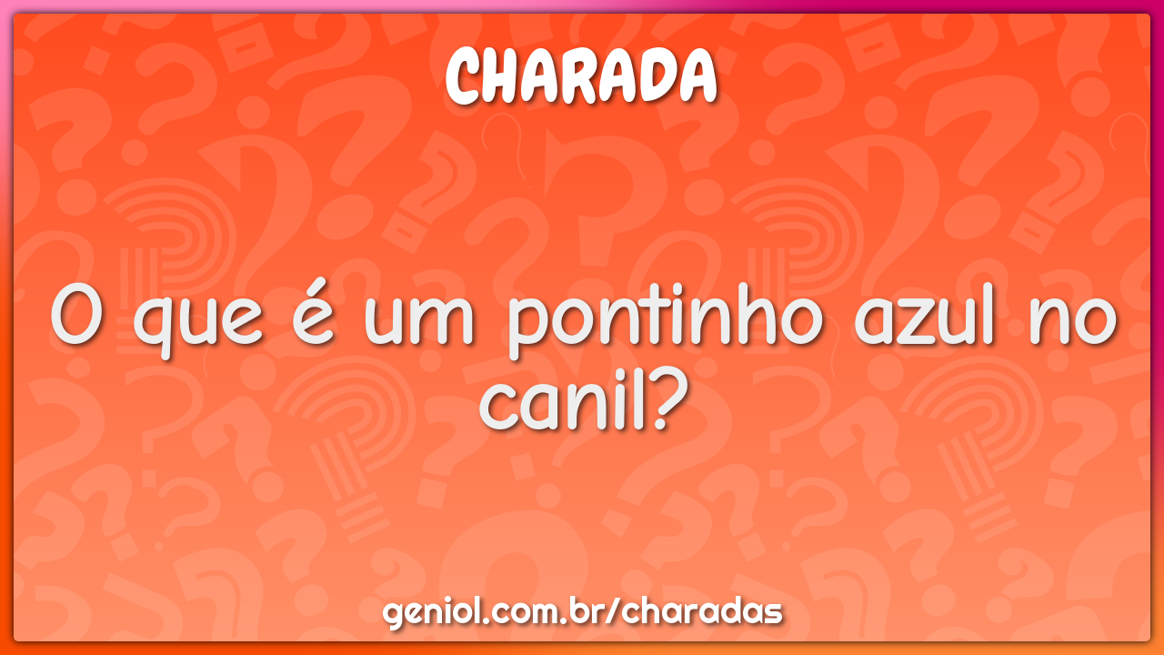 O que é um pontinho azul no canil?