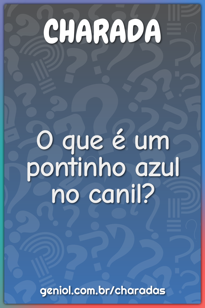 O que são dois pontinhos azuis dentro da casinha do cachorro? - Charada e  Resposta - Geniol