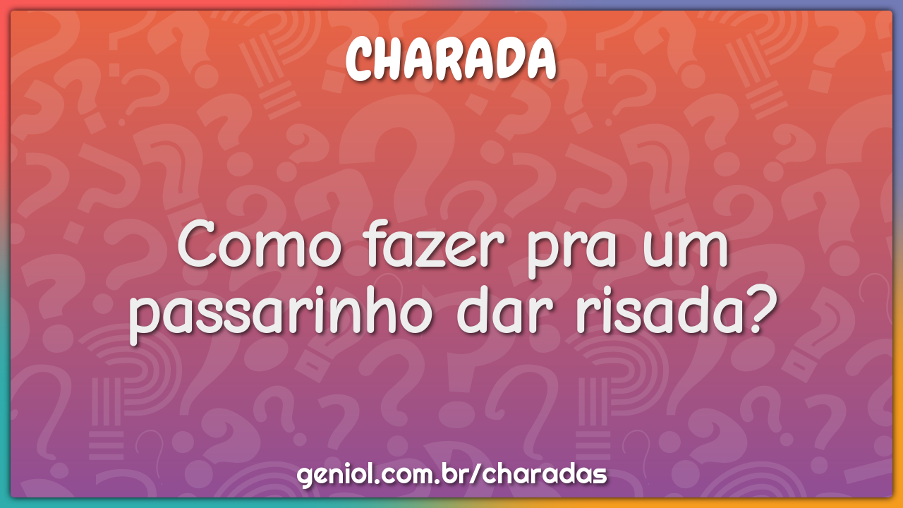 Como fazer pra um passarinho dar risada?
