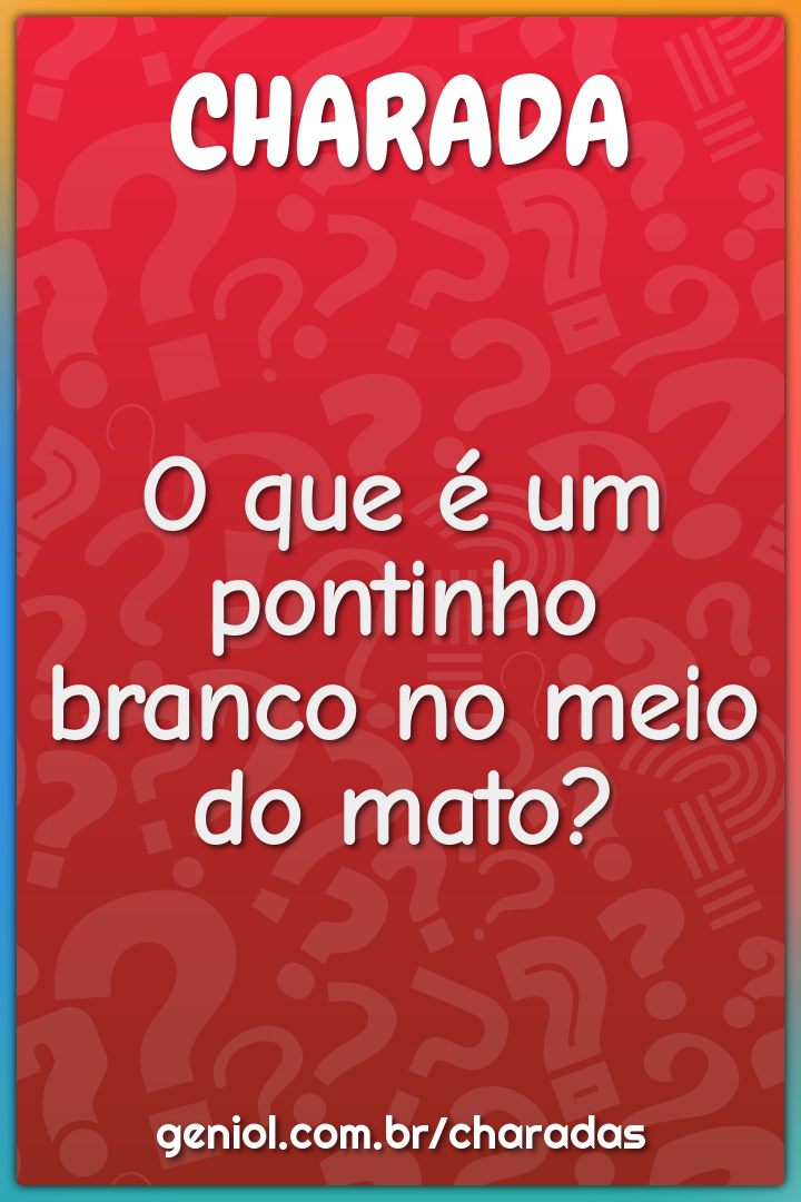 O que é um pontinho branco no meio do mato?