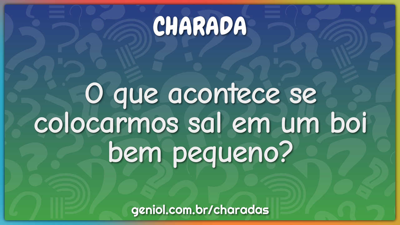 O que acontece se colocarmos sal em um boi bem pequeno?