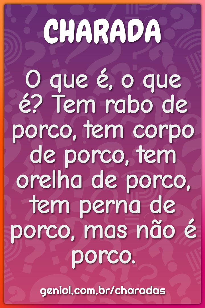 O que é, o que é? Tem rabo de porco, tem corpo de porco, tem orelha de...