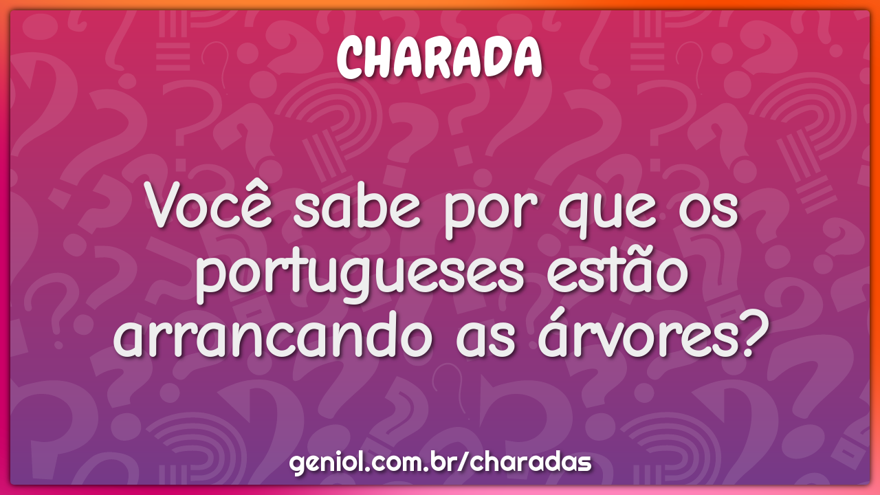 Você sabe por que os portugueses estão arrancando as árvores?