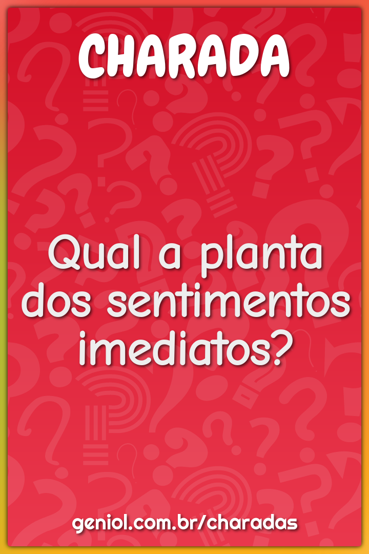Qual a planta dos sentimentos imediatos?