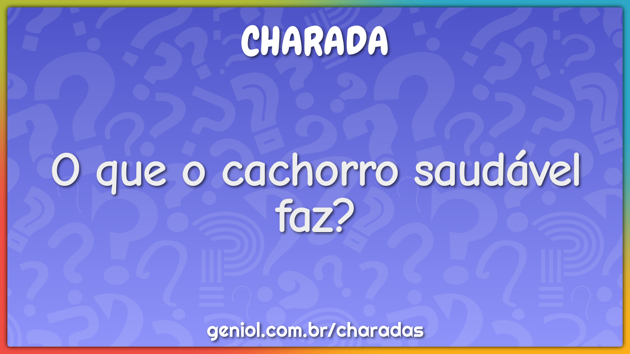 O que o cachorro saudável faz? - Charada e Resposta - Geniol