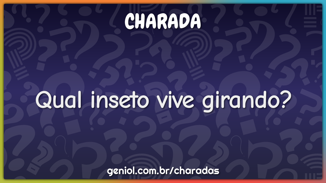 Qual inseto vive girando?