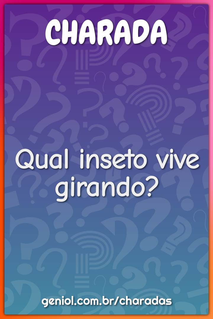 Qual inseto vive girando?