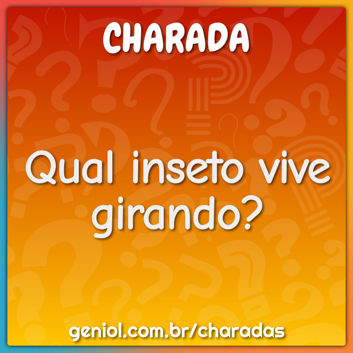 Qual inseto vive girando?