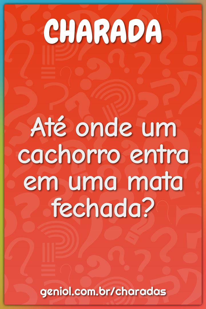 Até onde um cachorro entra em uma mata fechada?