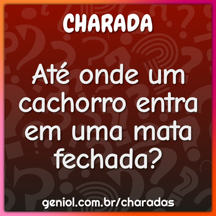 O que o cachorro falou quando viu a cadelinha gostosa passando? - Charada e  Resposta - Geniol