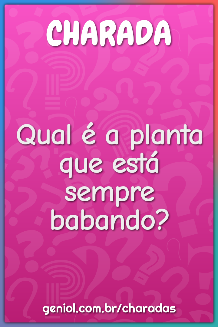 Qual é a planta que está sempre babando?