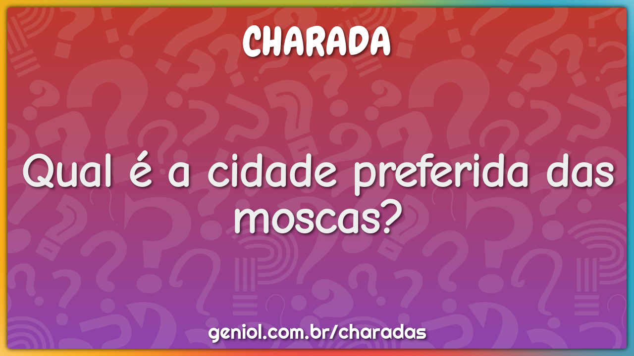 Qual é a cidade preferida das moscas?