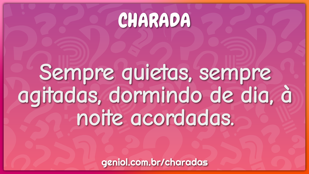 Sempre quietas, sempre agitadas, dormindo de dia, à noite acordadas.